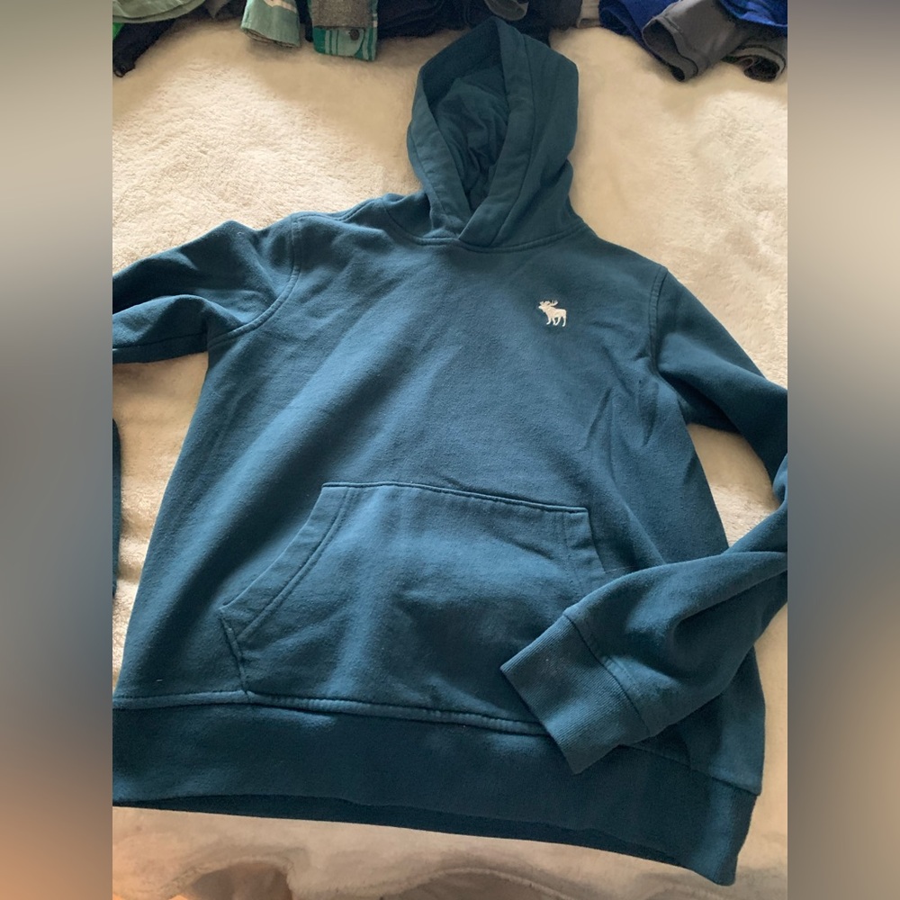 Abercrombie Kids Hoodie.